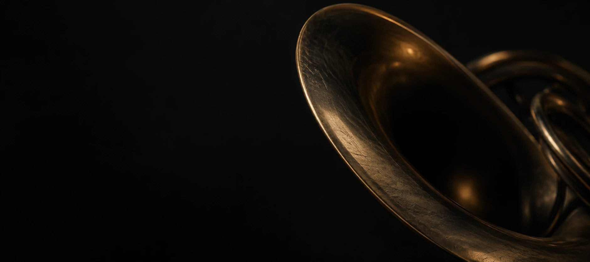 The bronze curve of a French horn emerging from shadow.