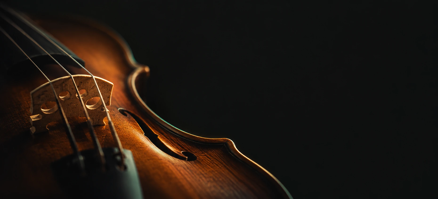 A violin bridge and strings in warm amber light.