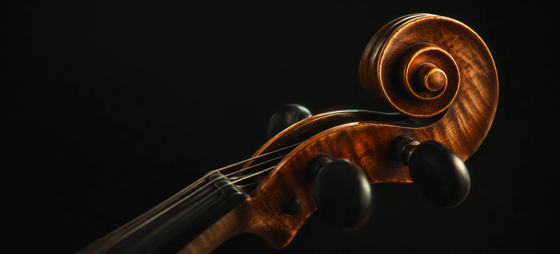 A violin scroll and ebony tuning pegs in warm amber light.
